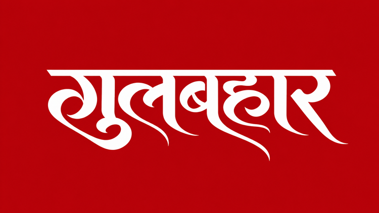GULBAHAR - DROP 01